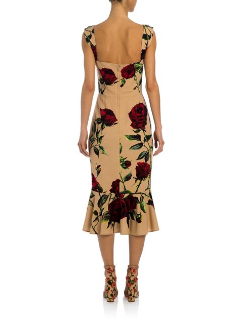 dolce gabbana rose print dress.